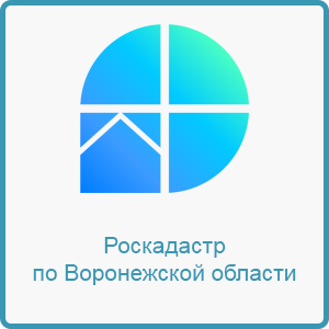 Региональный Роскадастр подвел итоги первого года работы.