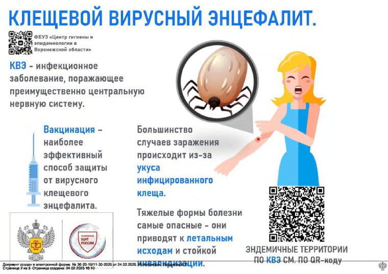 Меры профилактики клещевого вирусного энцефалита. Меры профилактики клещевого вирусного энцефалита.