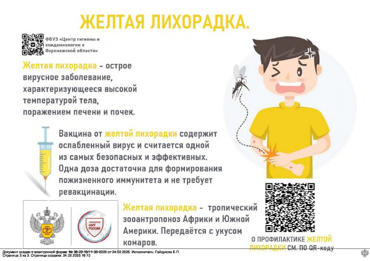 Меры профилактики желтой лихорадки. Меры профилактики желтой лихорадки.